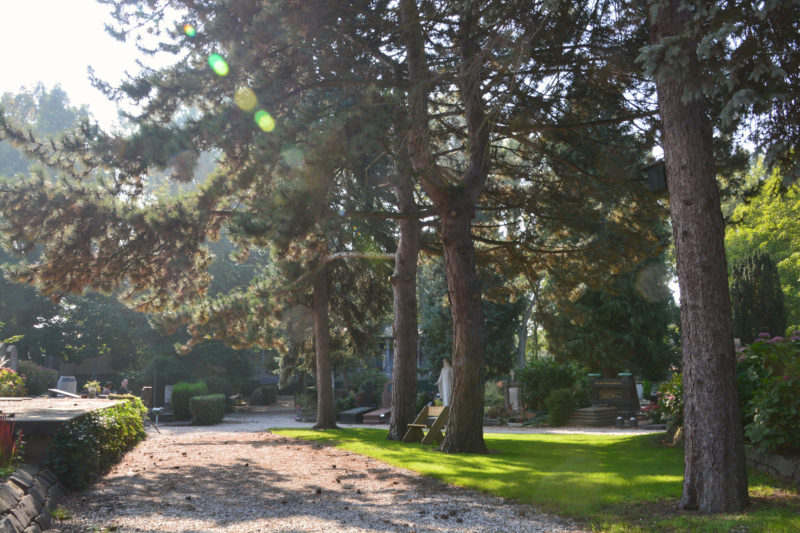 rustenbezinninglaurentius Begraafplaats en Crematorium rustenbezinninglaurentius Begraafplaats en Crematorium